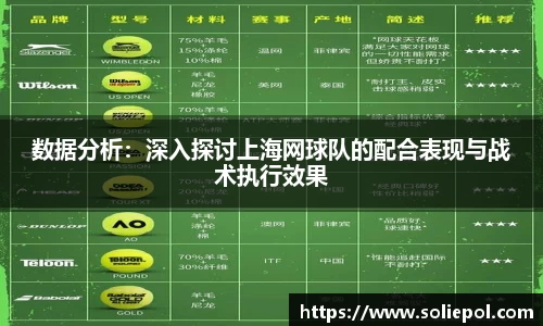 数据分析：深入探讨上海网球队的配合表现与战术执行效果