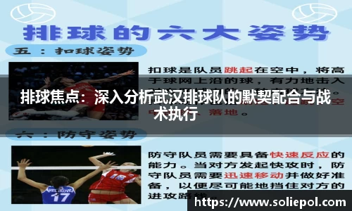 排球焦点：深入分析武汉排球队的默契配合与战术执行