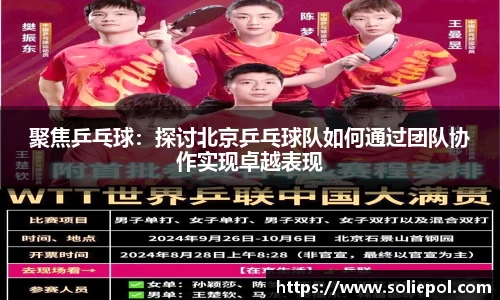 聚焦乒乓球：探讨北京乒乓球队如何通过团队协作实现卓越表现