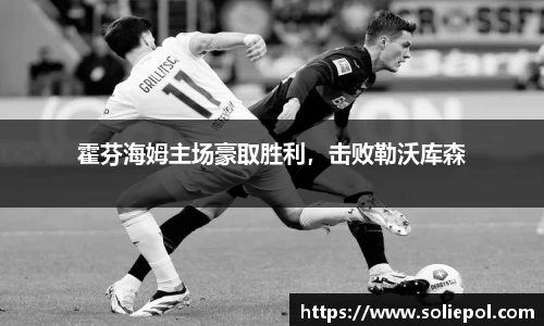 霍芬海姆主场豪取胜利，击败勒沃库森