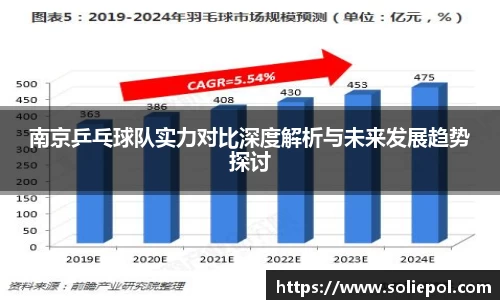 南京乒乓球队实力对比深度解析与未来发展趋势探讨
