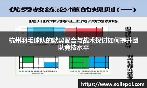 杭州羽毛球队的默契配合与战术探讨如何提升团队竞技水平